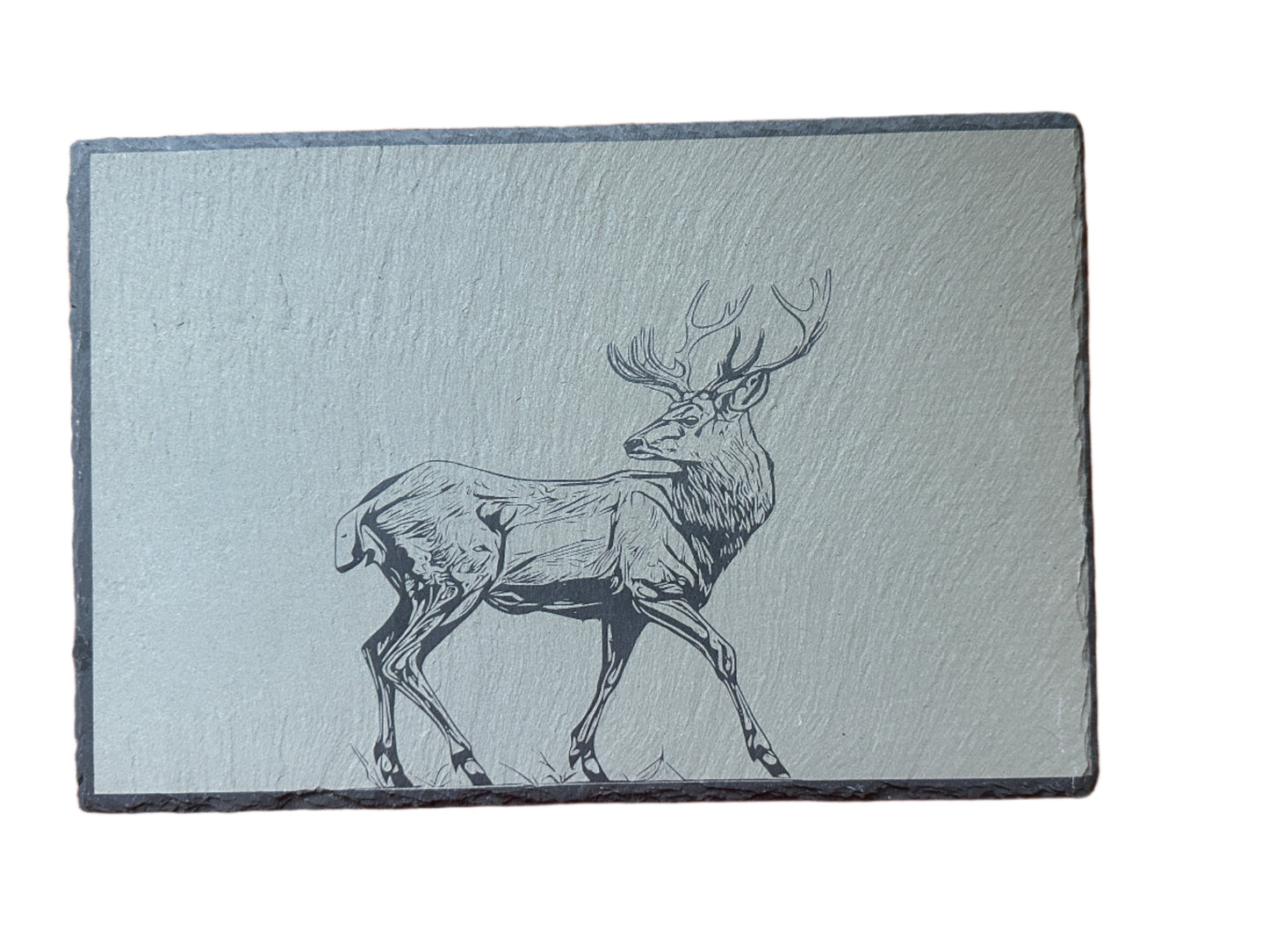 Stag - Slate Placemat & Coaster
